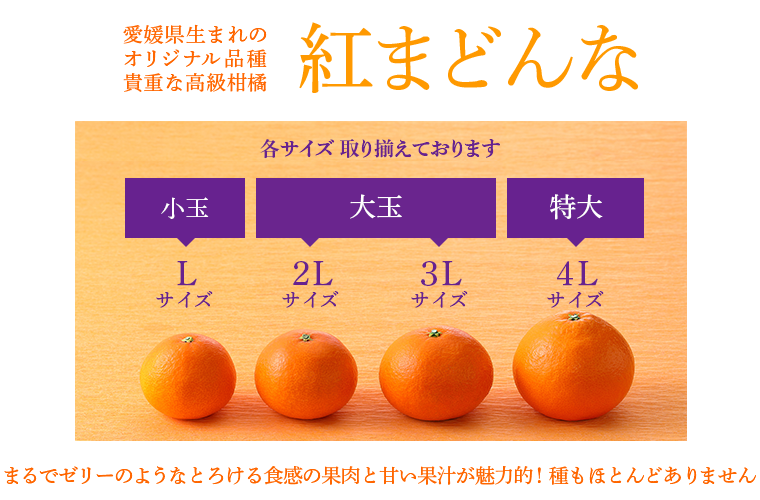 愛媛県生まれ オリジナル品種の貴重な高級柑橘「紅まどんな」まるでゼリーのようなとろける食感の果肉と甘い果汁が魅力的！種もほとんどありません